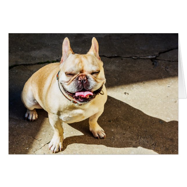 French Bulldog Cards (Front Horizontal)