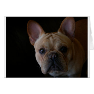 French Bulldog Cards