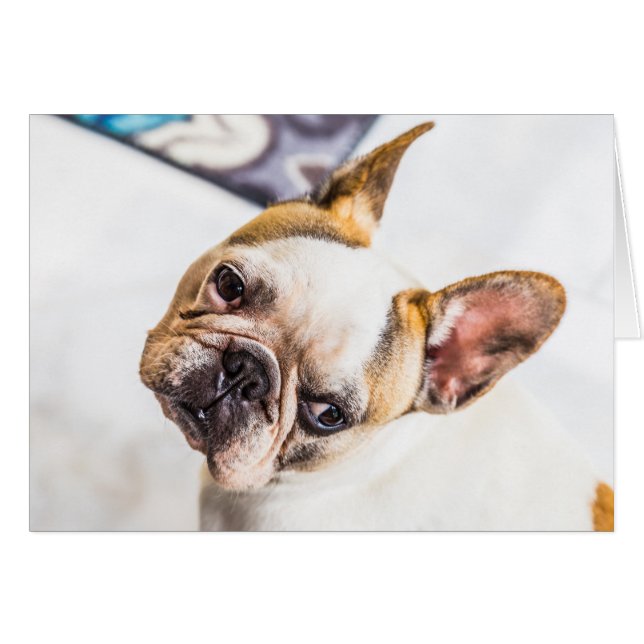 French Bulldog Cards (Front Horizontal)