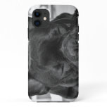 French Bulldog iPhone 11 Case