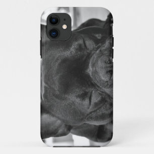 French Bulldog iPhone 11 Case