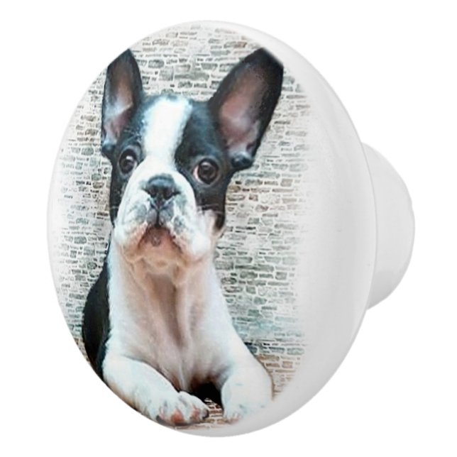 French Bulldog Ceramic Knob (Right)