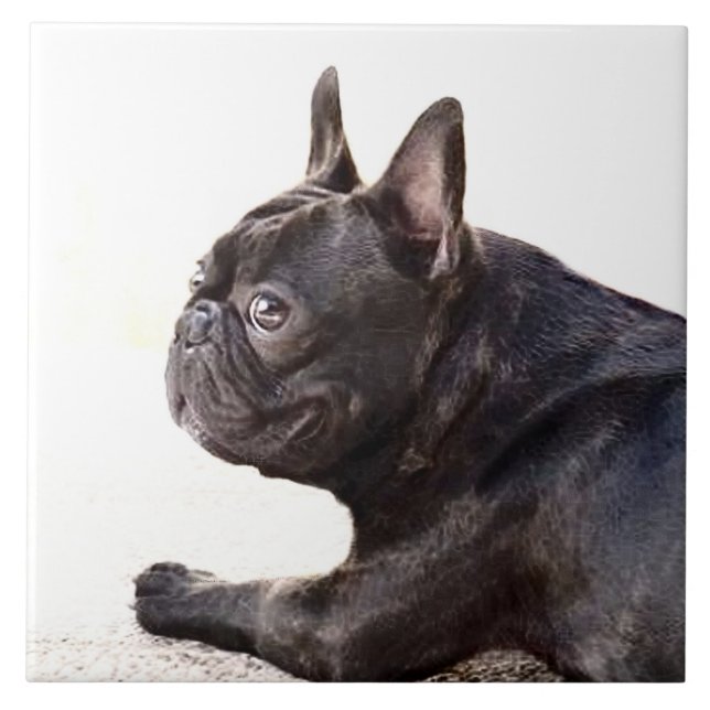 French Bulldog Ceramic Tile (Front)