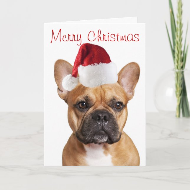 French Bulldog Christmas card (Front)