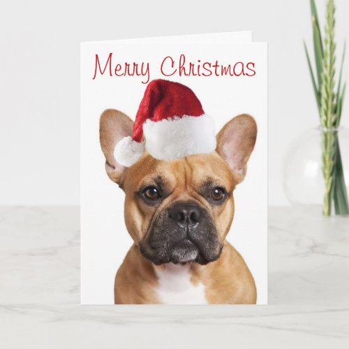 French Bulldog Christmas card