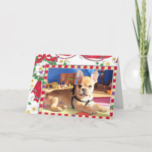French Bulldog Christmas Card