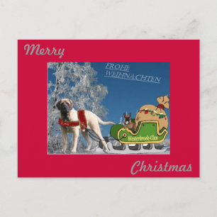 French Bulldog Christmas Card Merry Christmas