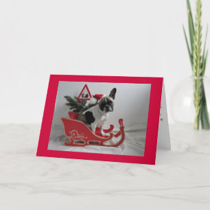 French Bulldog Christmas Gifts Holiday Card