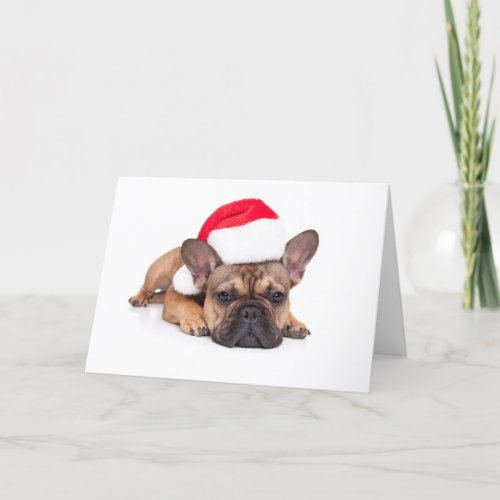 French Bulldog _ Christmas Holiday Card
