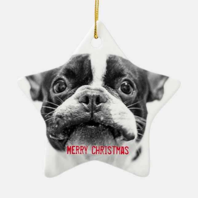 French Bulldog Christmas Ornament Star Custom (Front)
