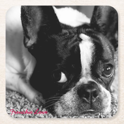 French Bulldog Coaster