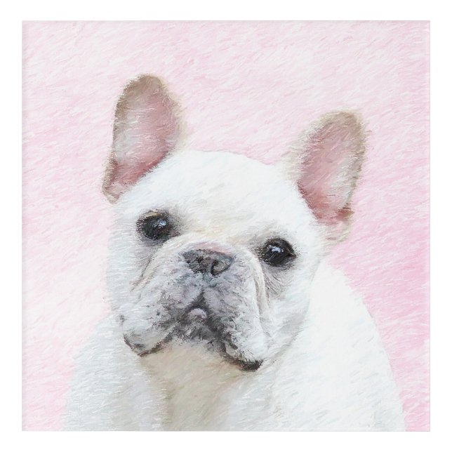 French Bulldog (Cream/White) Painting - Dog Art (Front)