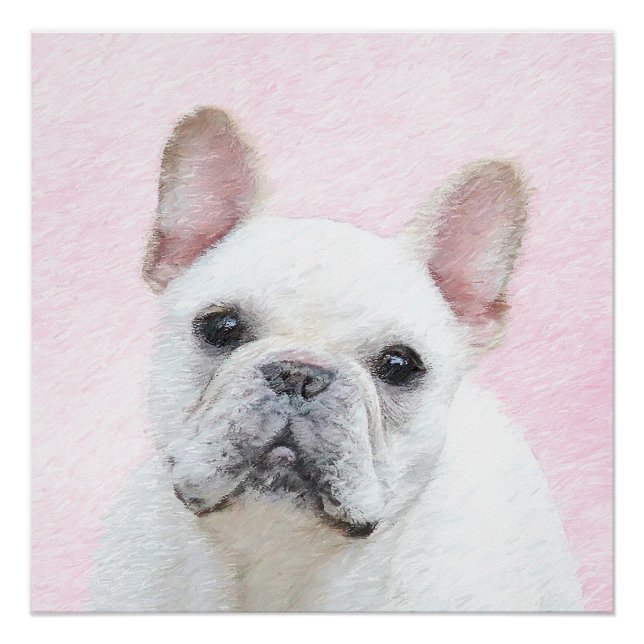 French Bulldog (Cream/White) Painting - Dog Art Poster (Front)