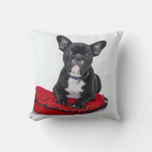 French bulldog cushion