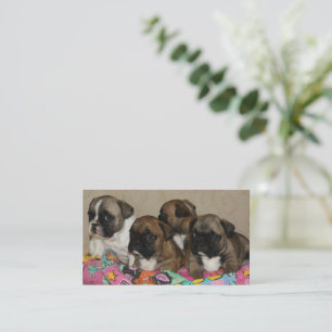 French Bulldog Cushion French Bulldog Business Card