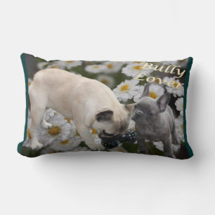 French Bulldog Cushions