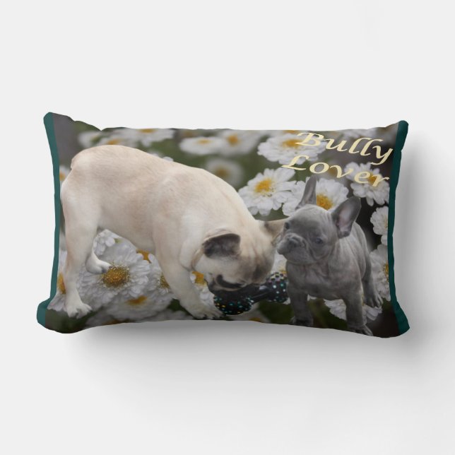 French Bulldog Cushions (Front)