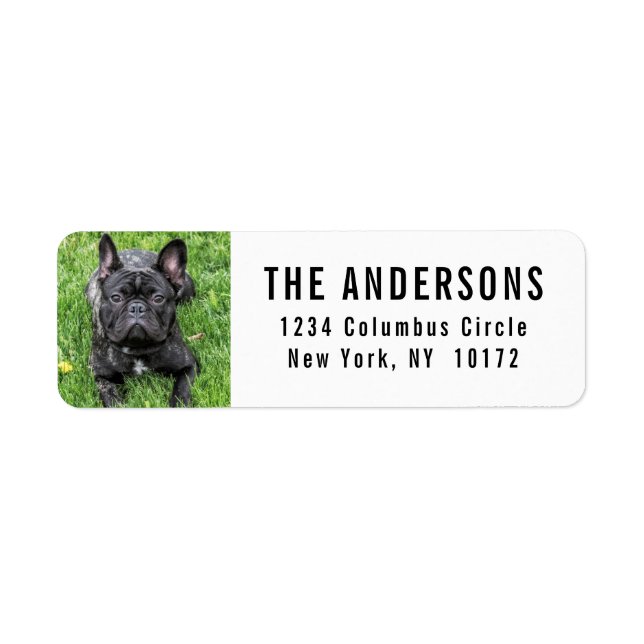 French Bulldog Custom Return Address Label (Front)