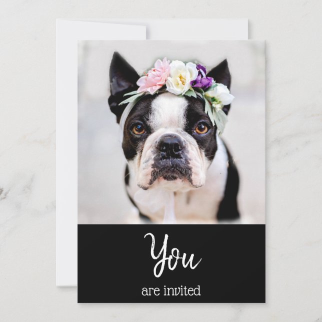 *~* French Bulldog Cute Frenchie  Event Invitation (Front)