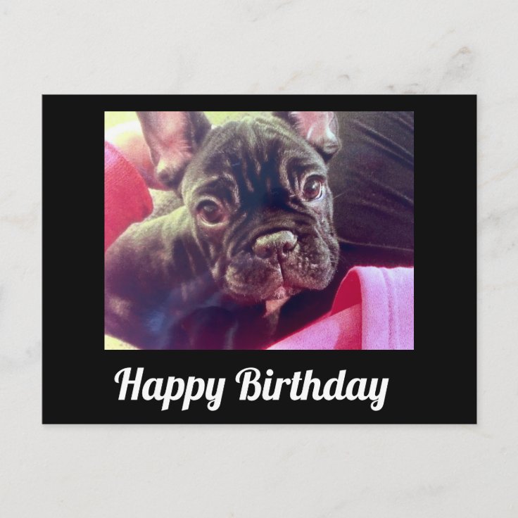 French Bulldog Cute Happy Birthday Postcard | Zazzle