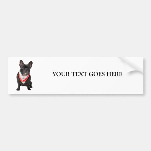 French Bulldog cute photo custom bumper sticker