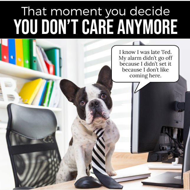 French Bulldog Didn't Set Alarm T-Shirt (Creator Uploaded)