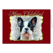 French bulldog dog (Front Horizontal)