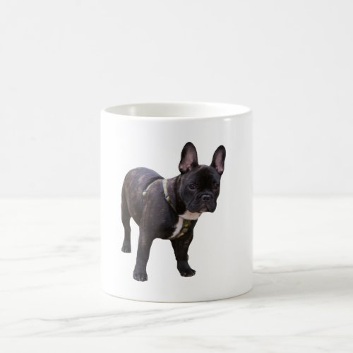 French Bulldog dog beautiful photo mug gift Coffee Mug