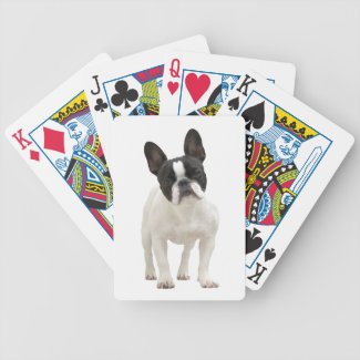 French Bulldog dog beautiful photo portrait, gift Deck Of Cards