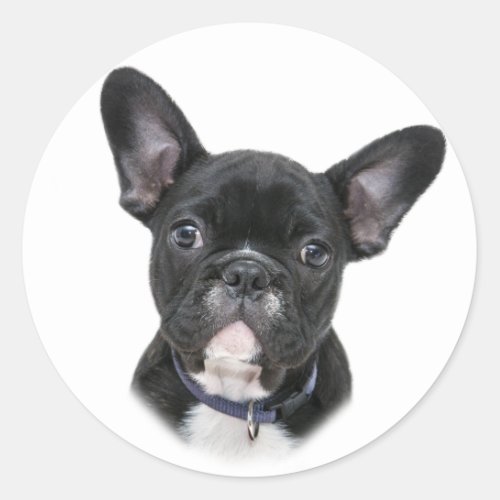 French Bulldog Dog Breed Classic Round Sticker