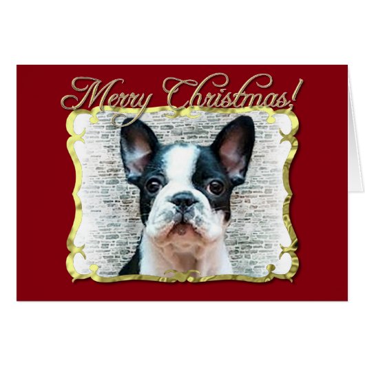 French bulldog dog cards (Front Horizontal)