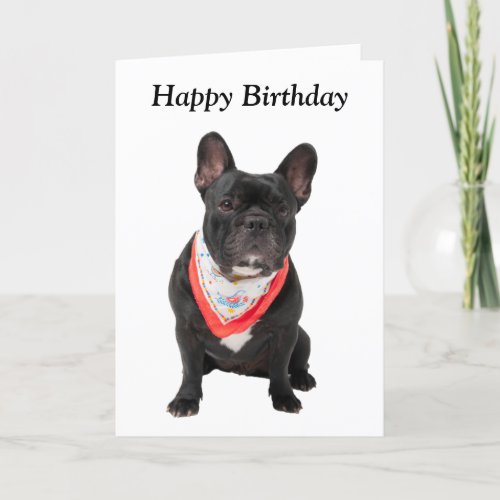 French Bulldog dog cute photo happy birthday card