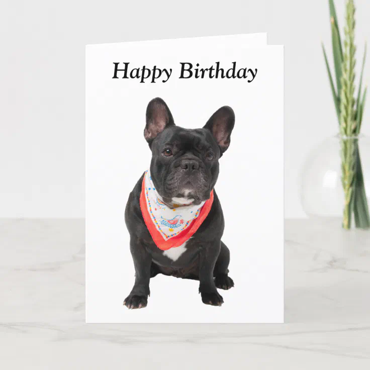 happy birthday bulldog card