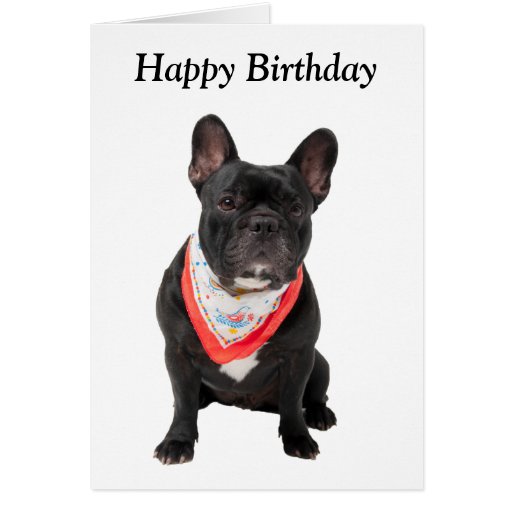 French Bulldog, dog cute photo happy birthday card | Zazzle