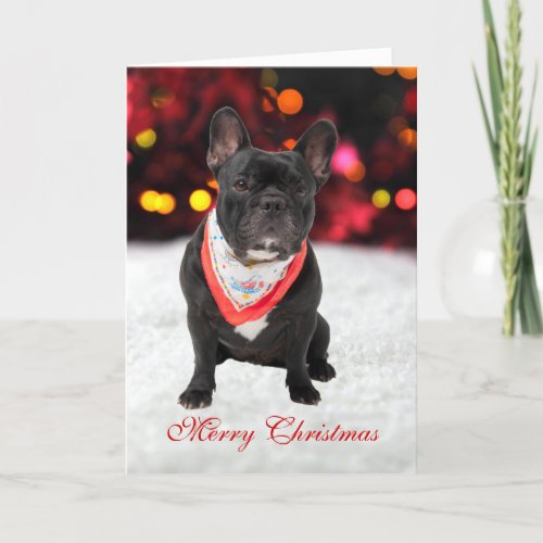 French Bulldog dog photo custom Christmas Card