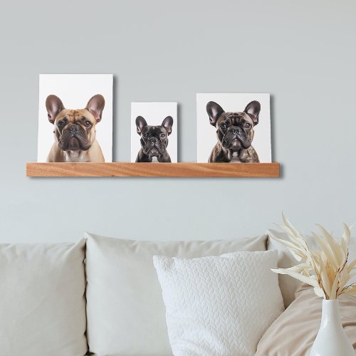 French Bulldog Dog Portraits Picture Ledge