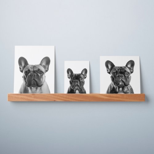 French Bulldog Dog Portraits Picture Ledge