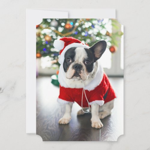 French Bulldog Dressed Up In Santa Costume Holiday Card