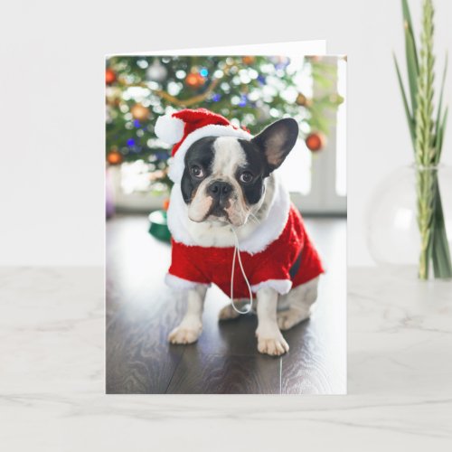 French Bulldog Dressed Up In Santa Costume Holiday Card