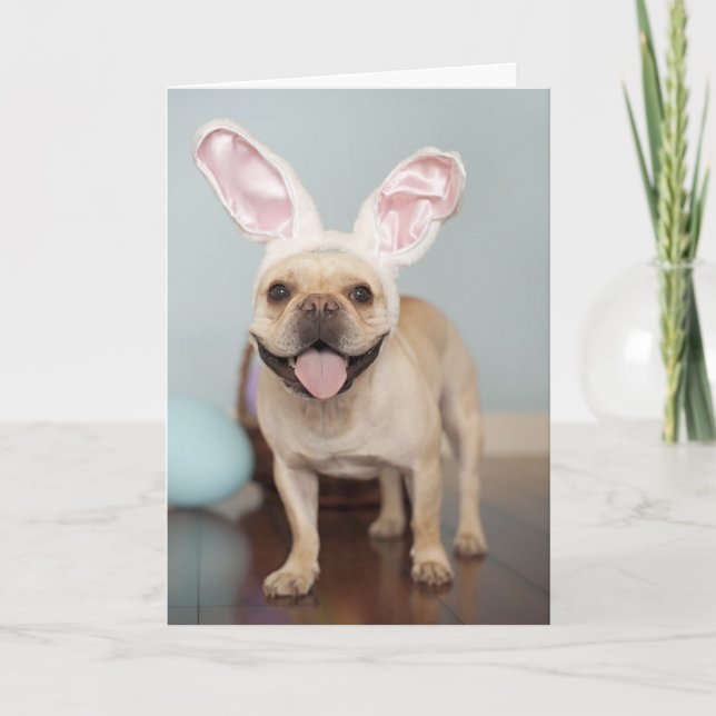 French Bulldog Easter Card! Holiday Card (Front)