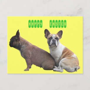 French Bulldog Easter French Bulldog Holiday Postcard