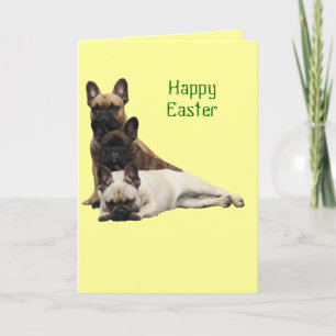 French Bulldog Easter greeting card
