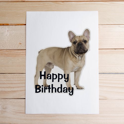 French Bulldog Fawn Happy Birthday Sticker