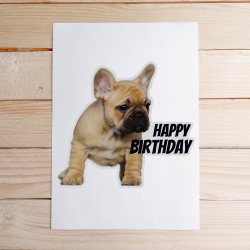French Bulldog Fawn Puppy Happy Birthday Sticker