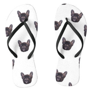 dog flip flops