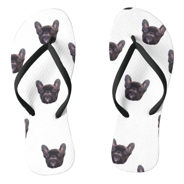 bulldog flip flops