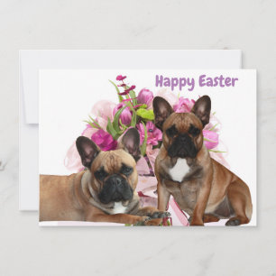 French Bulldog Flowers French Bulldog Celebration Holiday Card