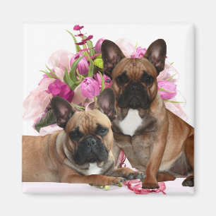 French Bulldog Flowers French Bulldog Celebration Magnet