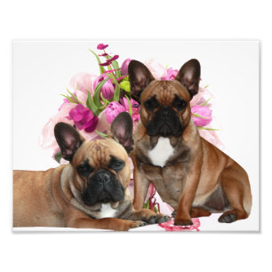 French Bulldog Flowers French Bulldog Celebration Photo Print