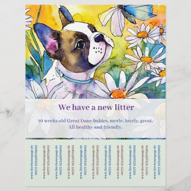 French Bulldog Flyer  (Front)